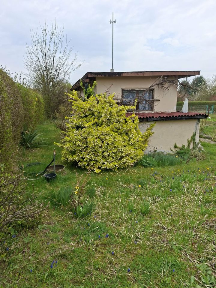 Działka rod Lubin Przylesie, Gajowa. Zdjęcie 5