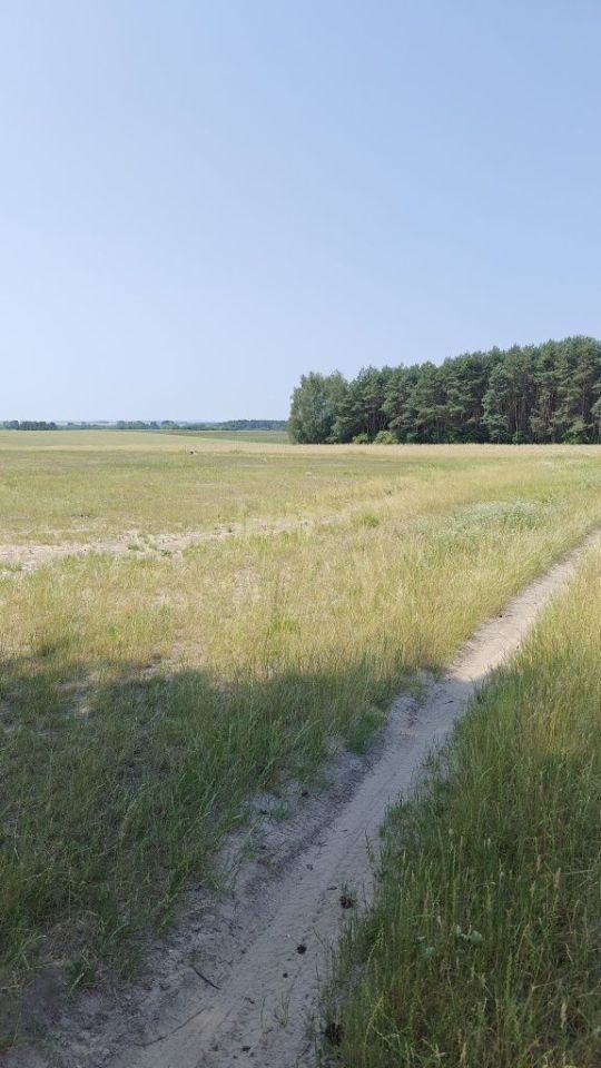 Działka rolno-budowlana Mstyczów. Zdjęcie 3