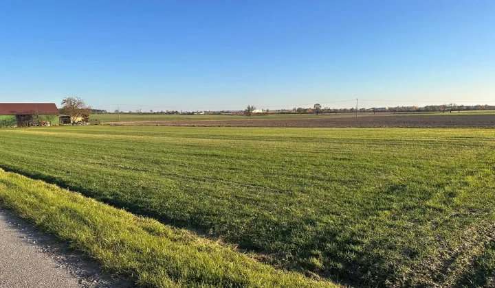 Działka budowlana Brzezie