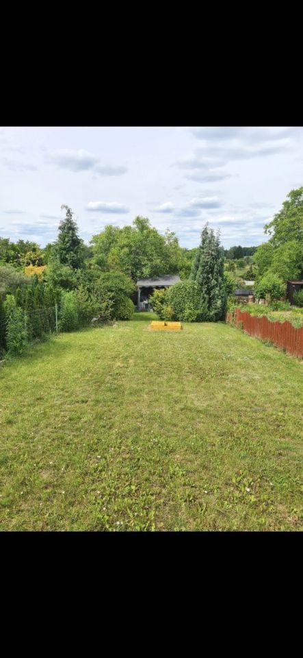 Działka rod Rypin. Zdjęcie 5