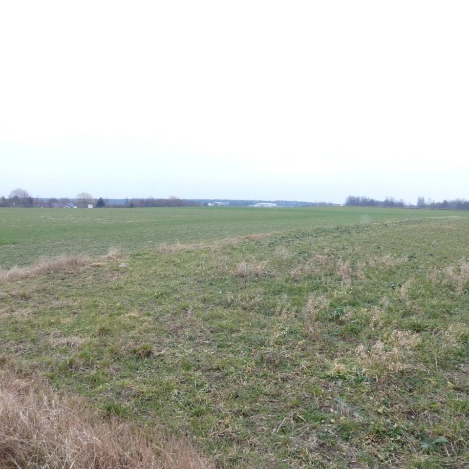 Działka budowlana Stary Dwór. Zdjęcie 5