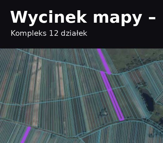 Działka rolna Mozolice Małe. Zdjęcie 3