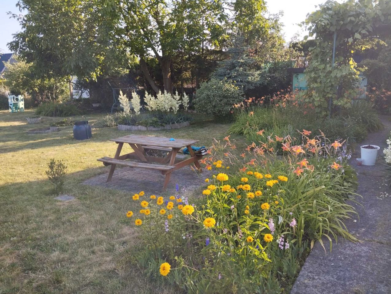 Działka rod Świebodzin, ul. Partyzancka. Zdjęcie 6