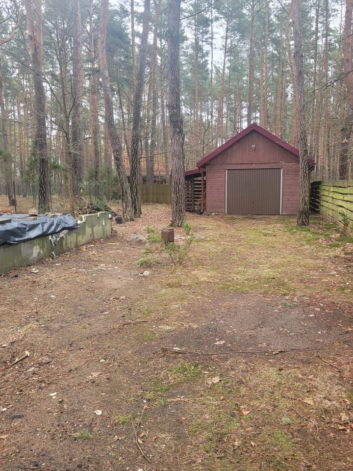 Działka leśna Poddębie, ul. Brzozowa. Zdjęcie 6