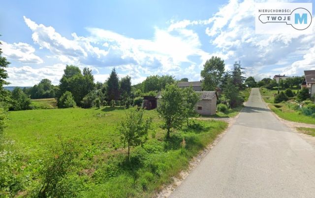 Działka rolna Sieradowice Drugie. Zdjęcie 2