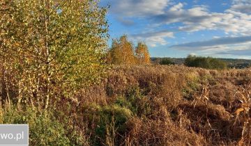Działka rolna Jasień