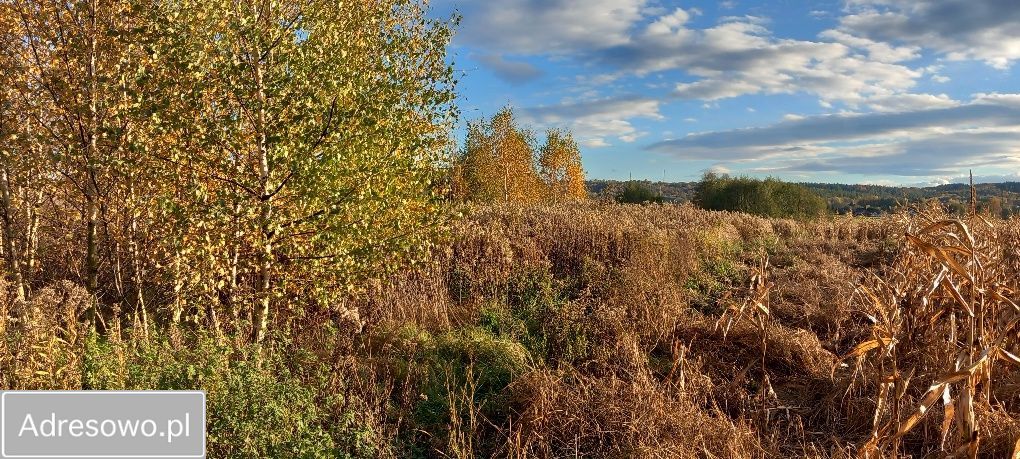 Działka rolna Jasień. Zdjęcie 2