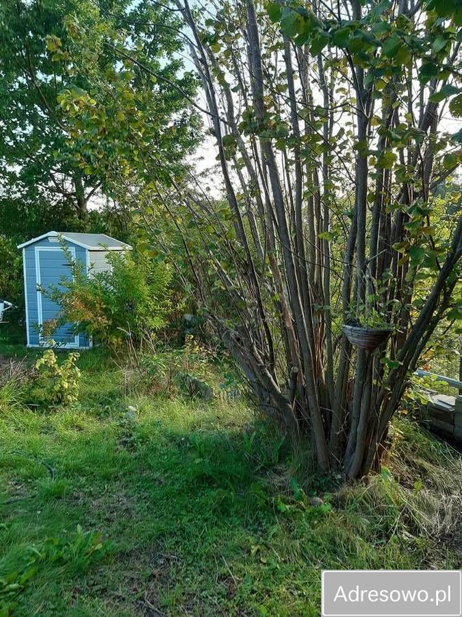 Działka rod Gdańsk Morena. Zdjęcie 3