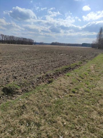 Działka budowlana Bardzynin. Zdjęcie 1