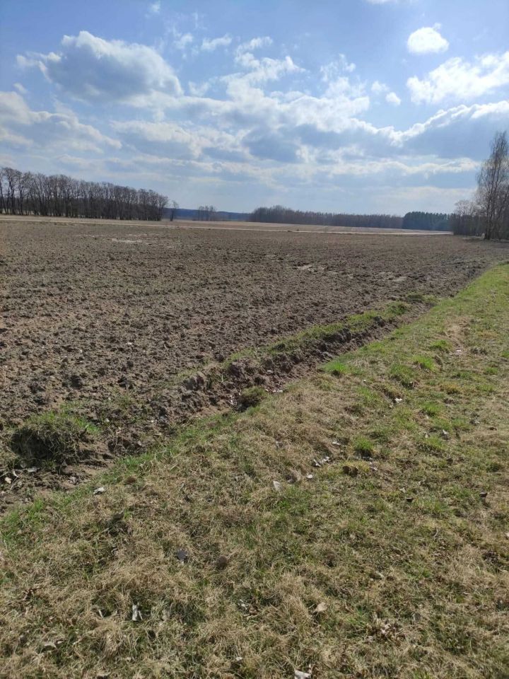 Działka budowlana Bardzynin. Zdjęcie 1