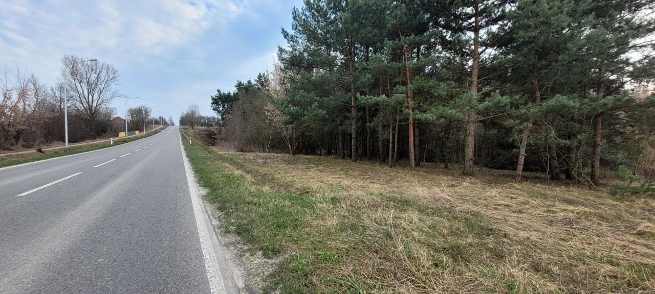 Działka budowlana Ożarów. Zdjęcie 3