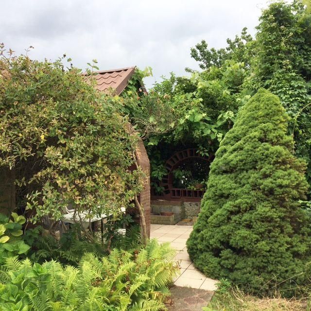 Działka rod Wrocław Stare Miasto, ul. Góralska. Zdjęcie 9