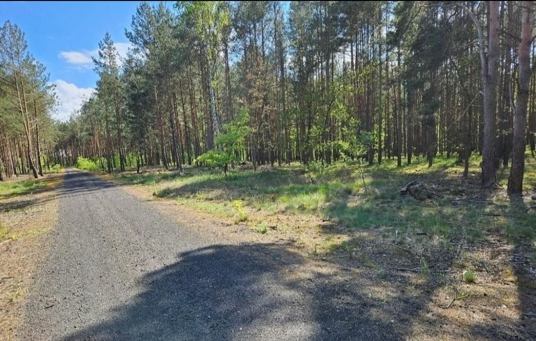 Działka budowlana Solec Kujawski, ul. Garbary. Zdjęcie 5