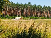 Działka budowlana Kalina. Zdjęcie 1