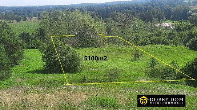 dom wolnostojący, 6 pokoi Goniądz. Zdjęcie 4