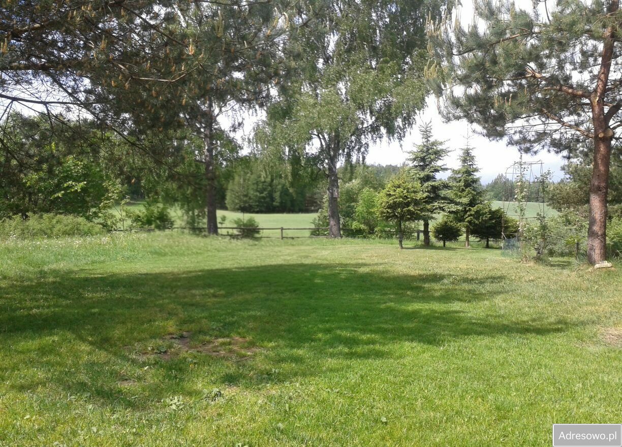 Działka siedliskowa Wólka. Zdjęcie 6