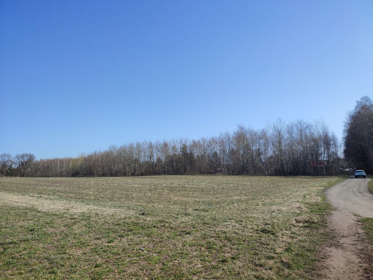 Działka siedliskowa Ostrowiec. Zdjęcie 6