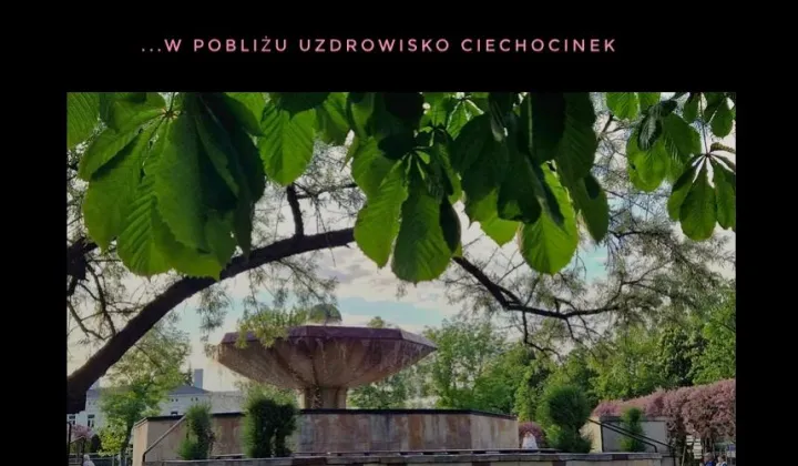 Mieszkanie 3-pokojowe Aleksandrów Kujawski, ul. Wojska Polskiego