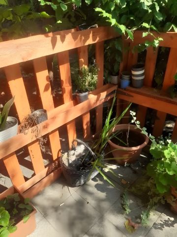 dom wolnostojący, 6 pokoi Pilawa, ul. Aleja Wyzwolenia. Zdjęcie 13