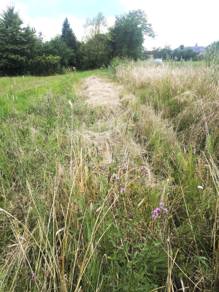 Działka rolno-budowlana Ostrzeszów, ul. Podmiejska . Zdjęcie 9