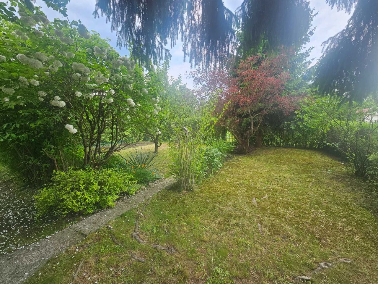 Działka rod Rzeszów. Zdjęcie 5