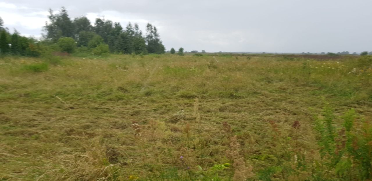 Działka budowlana Golanka Dolna. Zdjęcie 4