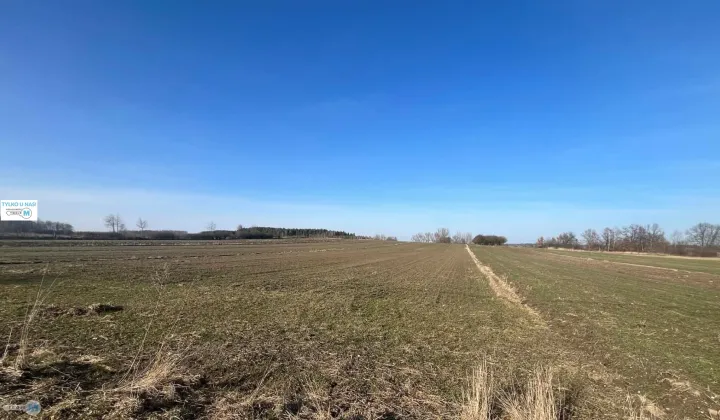 Działka Gnojno