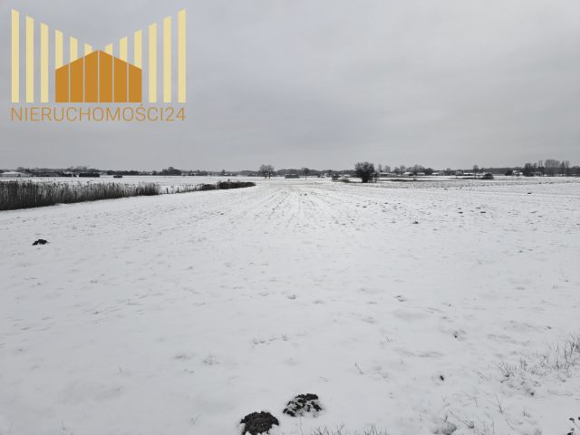 Działka siedliskowa Siennica. Zdjęcie 4