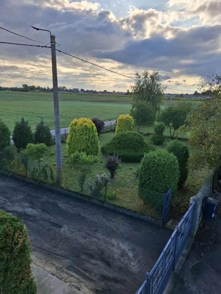 Działka rolna Krzyżanów. Zdjęcie 6