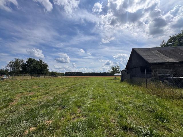 Działka inna Zaborze. Zdjęcie 8