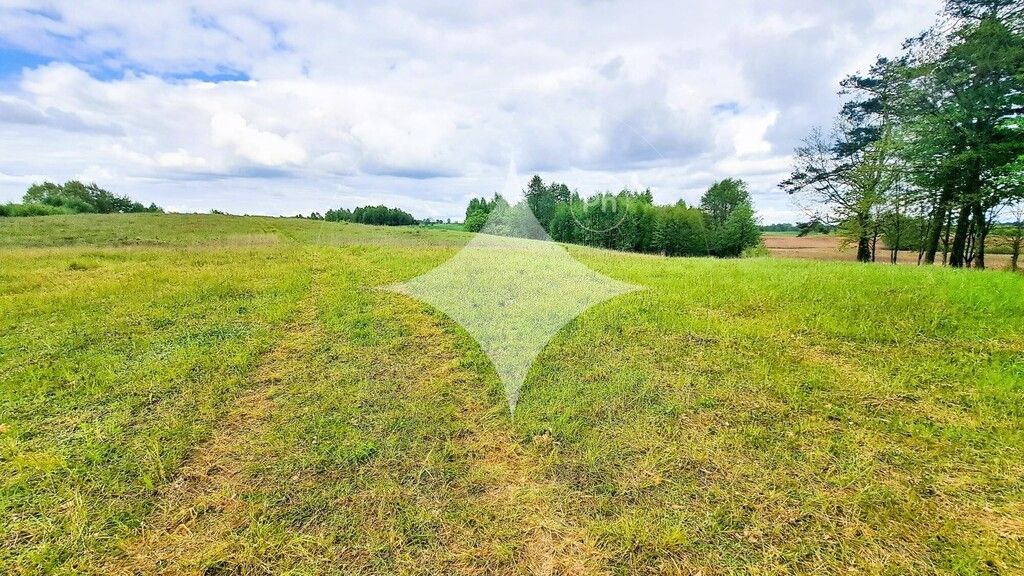 Działka budowlana Dąbrówka Wielka. Zdjęcie 8