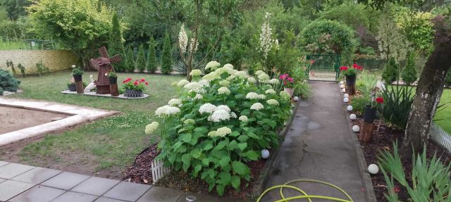 Działka rod Pakość. Zdjęcie 1