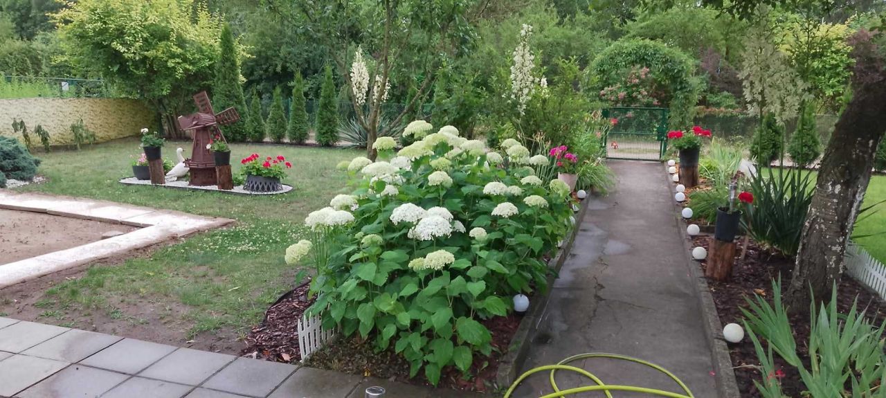 Działka rod Pakość