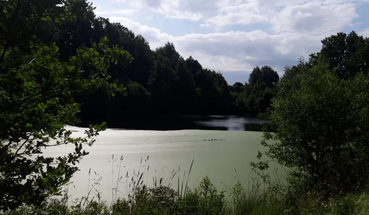 Działka budowlana Czarnkowie