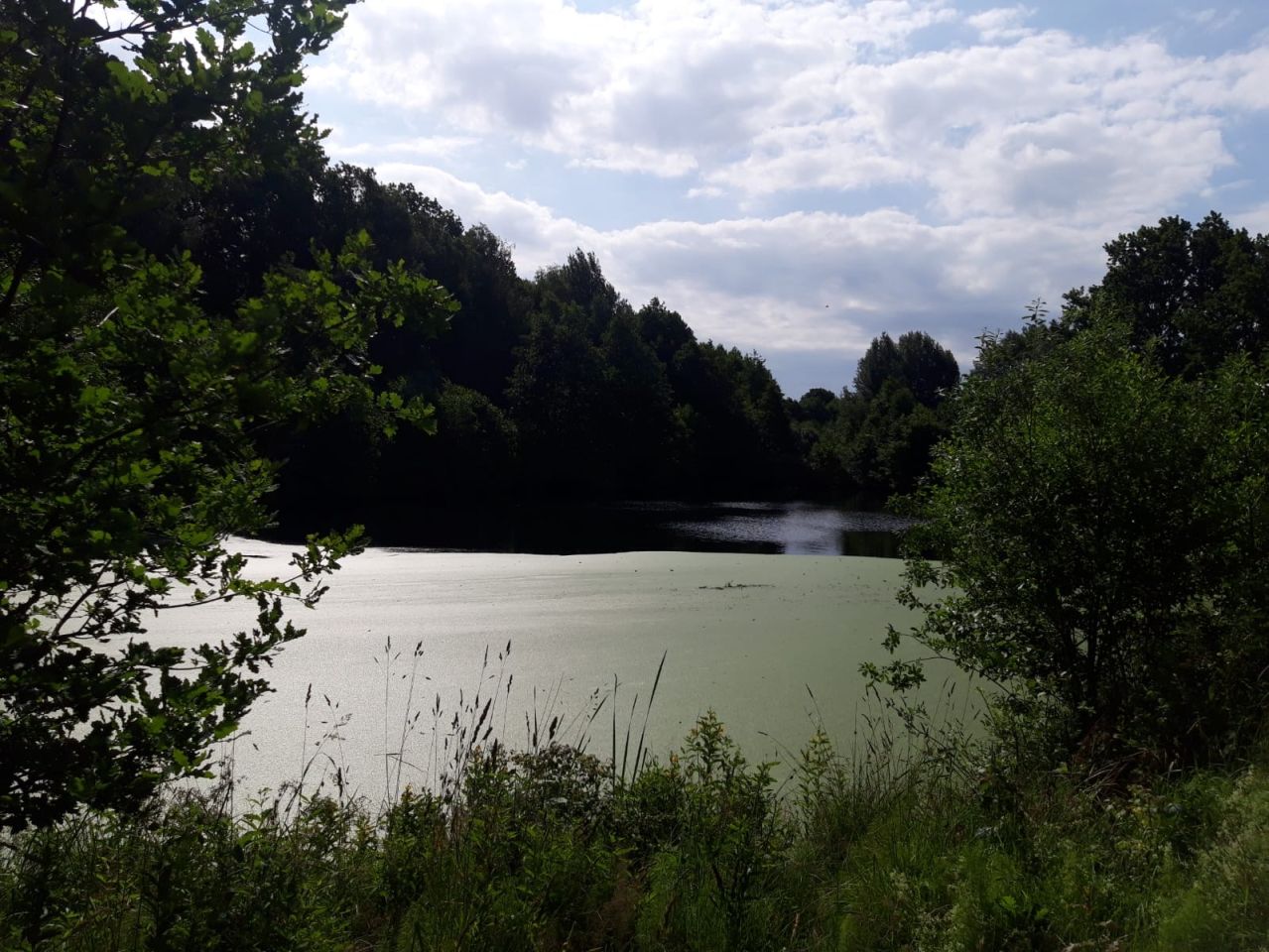 Działka budowlana Czarnkowie. Zdjęcie 1