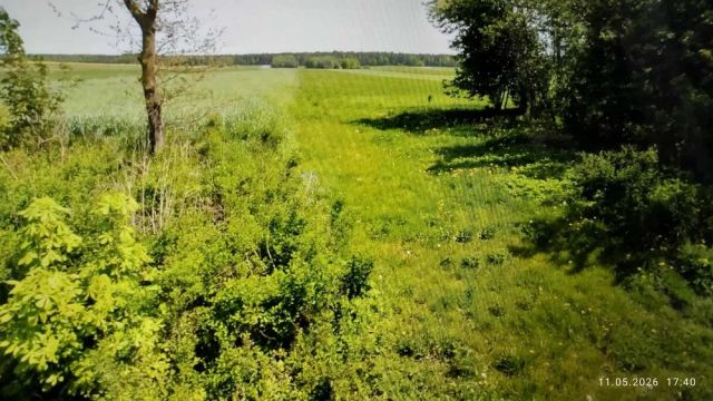 Działka inwestycyjna Wszachów. Zdjęcie 1