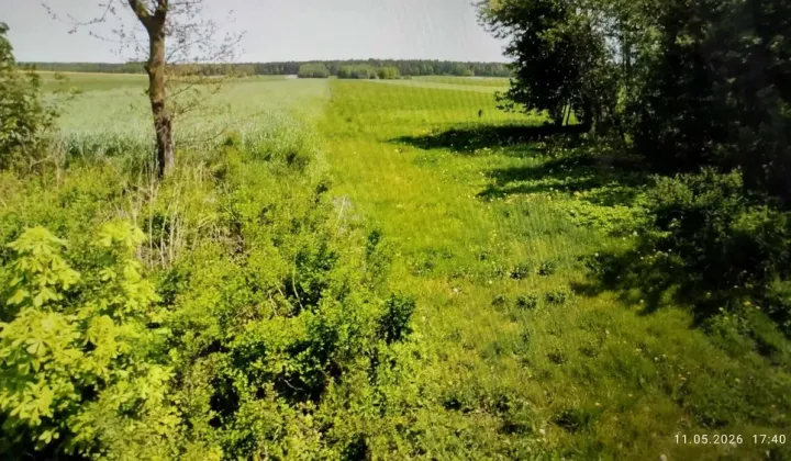 Działka inwestycyjna Wszachów