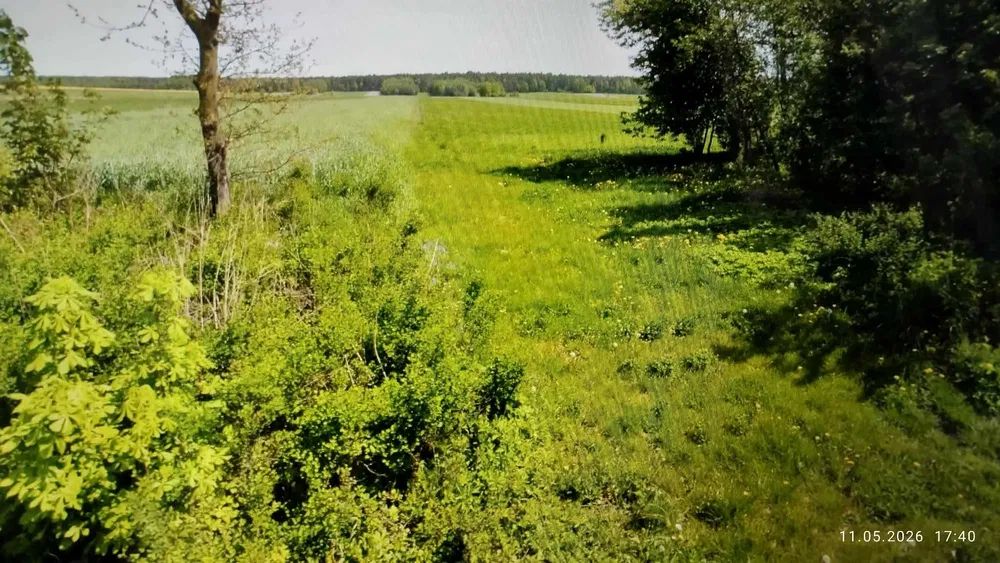 Działka inwestycyjna Wszachów. Zdjęcie 1