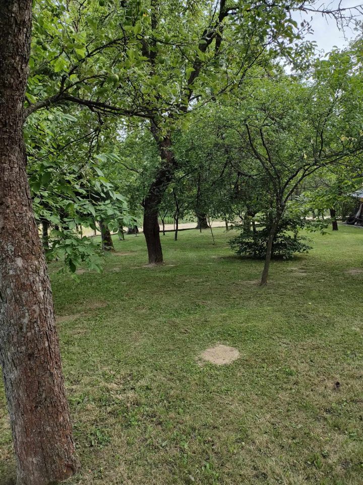 dom wolnostojący, 3 pokoje Hucisko Jawornickie Wólka. Zdjęcie 15