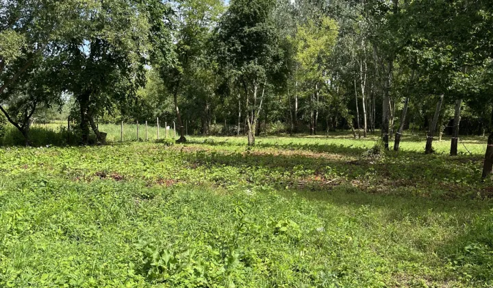 Działka rolna Łomianki Buraków, ul. Pastewna
