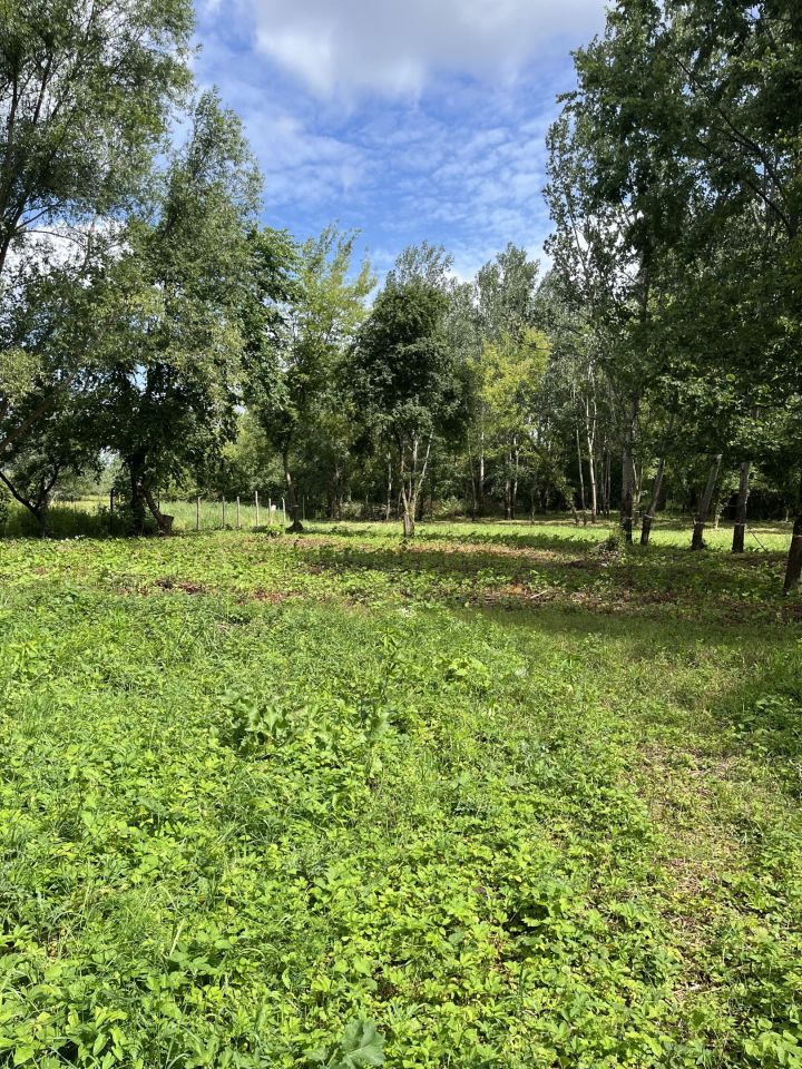 Działka rolna Łomianki Buraków, ul. Pastewna