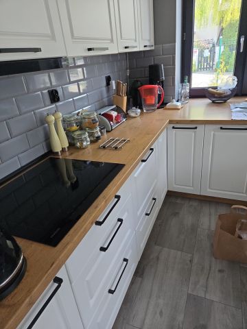 dom wolnostojący, 4 pokoje Złotoria, ul. Ciechocińska. Zdjęcie 1