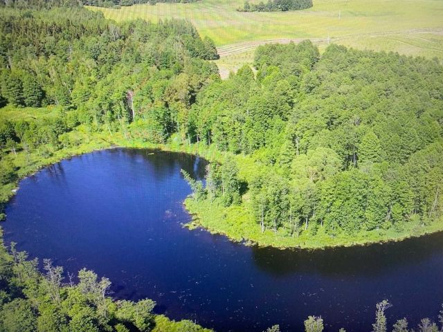 Działka inwestycyjna Malinka. Zdjęcie 1