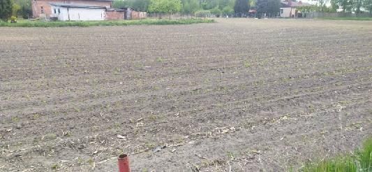 Działka budowlana Dragacz. Zdjęcie 3