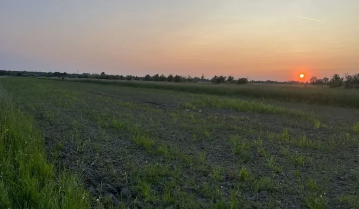 Działka budowlana Książnice