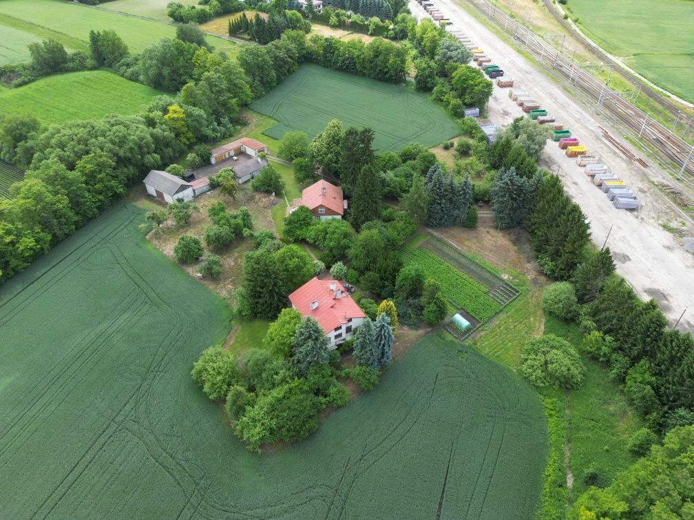 siedlisko Jaszczów. Zdjęcie 4