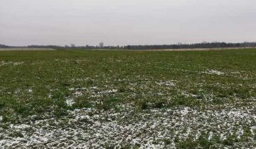 Działka rolna Sulewo-Prusy