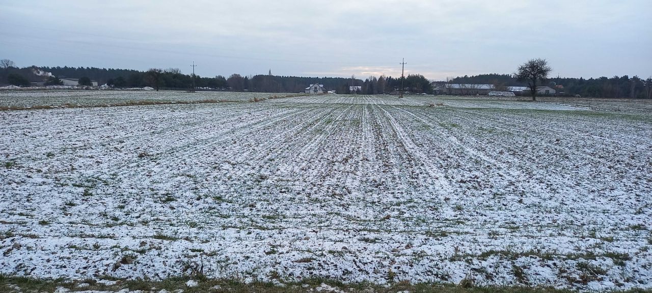 Działka rolna Nowe Załubice, ul. Bratnia. Zdjęcie 7