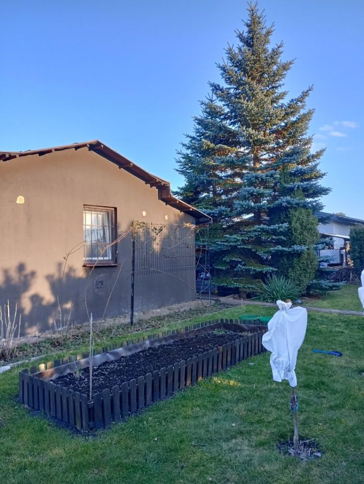 Działka rod Łódź Bałuty, ul. Pustynna. Zdjęcie 2