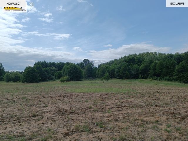 Działka rolna Długie. Zdjęcie 2